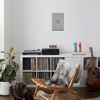 Amazon.com: Trends International Zebra Stripe Optical Illusion