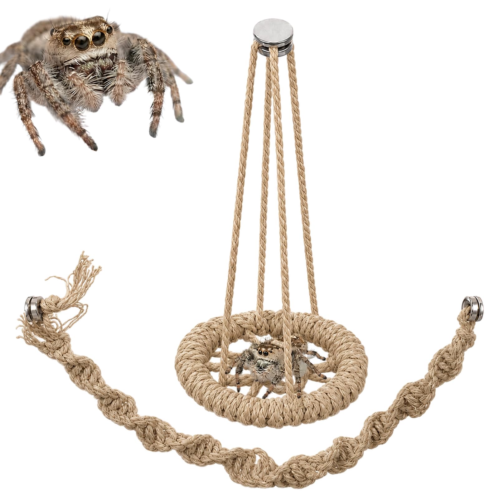 2 Pack Beige Jumping Spider Hideout-Cotton Rope Bridge and Braided Hammock