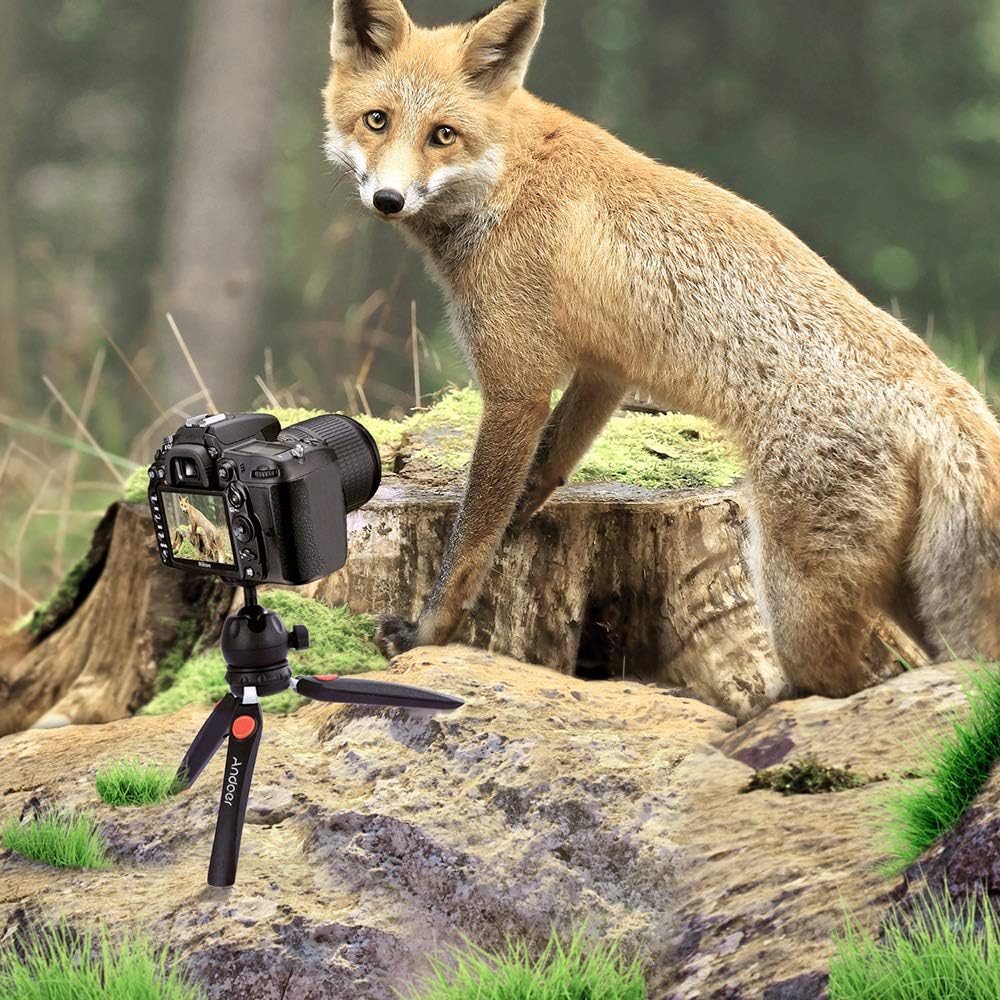 Andoer H20 Mini Tabletop Tripod Portable Foldable Phone Camera Tripod Stand with Removable Ball Head with 1/4 Inch Screw