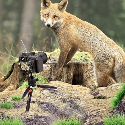 Miniatura 6 de Andoer H20 Mini trípode de mesa portátil plegable para cámara de teléfono con cabeza de bola extraíble con tornillo de 14 pulgadas