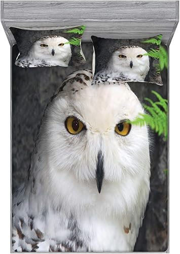 Miniatura 145 de Ambesonne Juego de sábanas bajeras y fundas de almohada de los años 90, patrón geométrico en estilo retro, formas redondas de triángulo de media