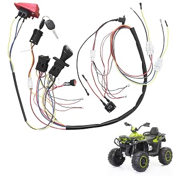 6V 12V 24V DIY Wire Harness Electric Conversion Kit for Kids Ride On Toys Car,Set of Wire Harness Switch for Children Power Wheels Trax Upgrade Replacement Parts
