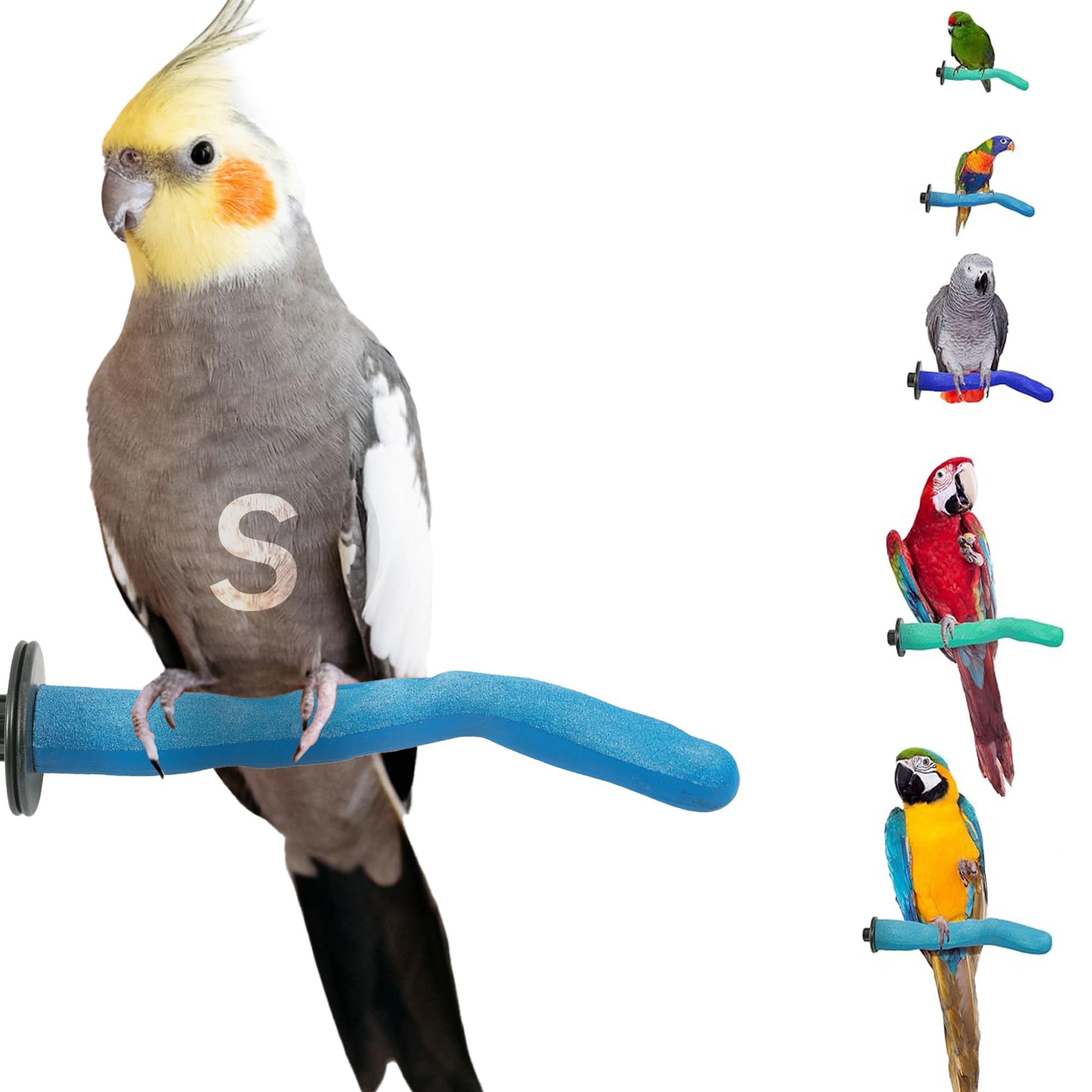 Sweet Feet and Beak Safety Pumice Perch Bird Toy - Trims Nails and Beak - Promotes Healthy Feet - Safe, Non-Toxic - Blue, Green, Purple - Plastic - Bird Perch
