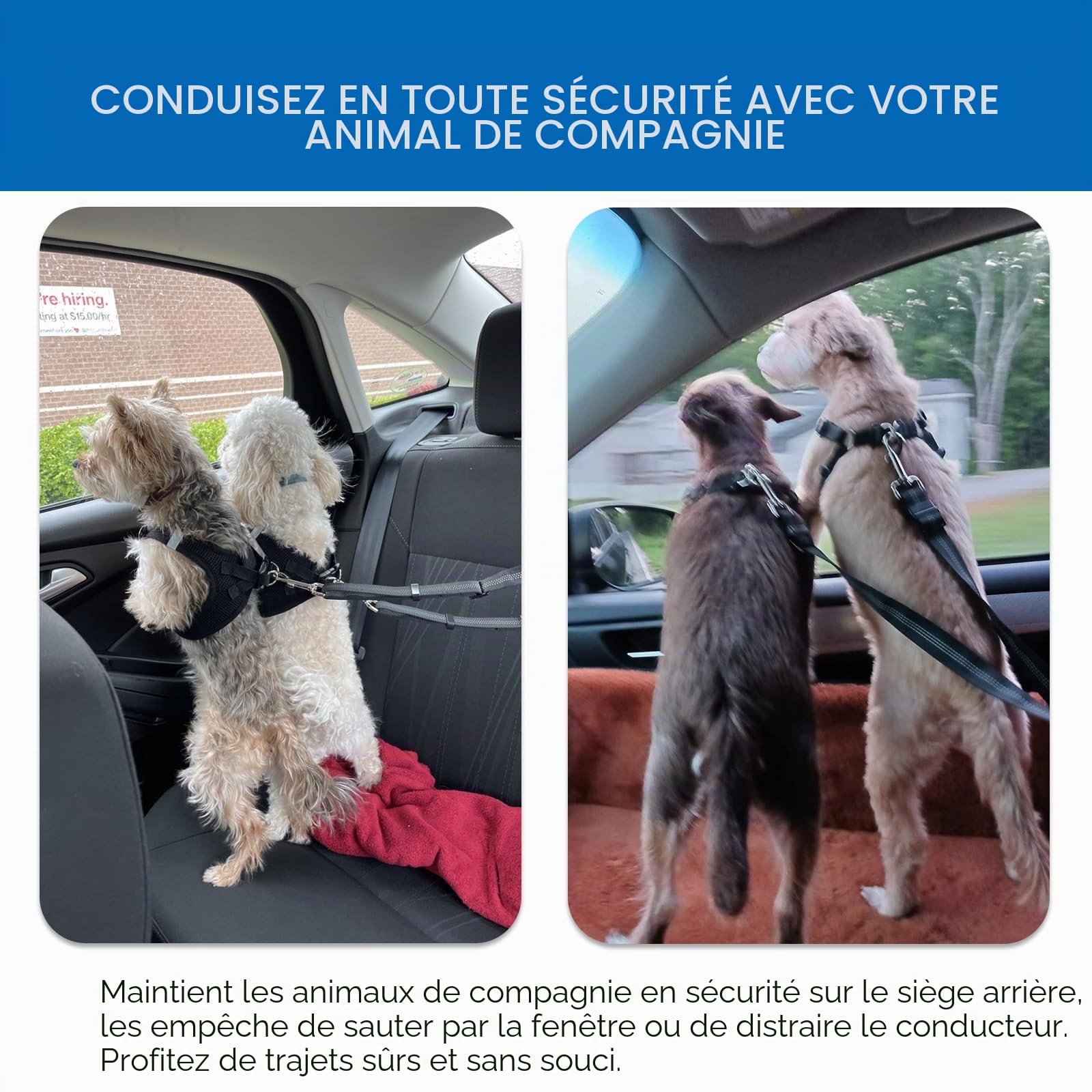 Réglable Double Ceintures de Sécurité pour Chien pour Voiture avec Absorption des Chocs pour Chien