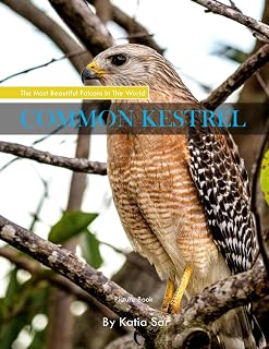 Common Kestrel: A perfect Coffee Table Picture Book - For Bird Watchers and Nature Enthusiasts .