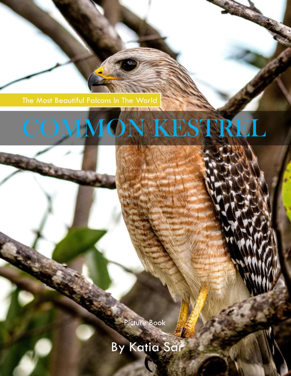 Common Kestrel: A perfect Coffee Table Picture Book - For Bird Watchers and Nature Enthusiasts .