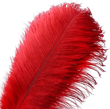 20pcs Natural Ostrich Feather Craft 10-12inch25-30cm Plume for Wedding Centerpieces Home Decoration DIYRed, 20Pcs 10-12inch