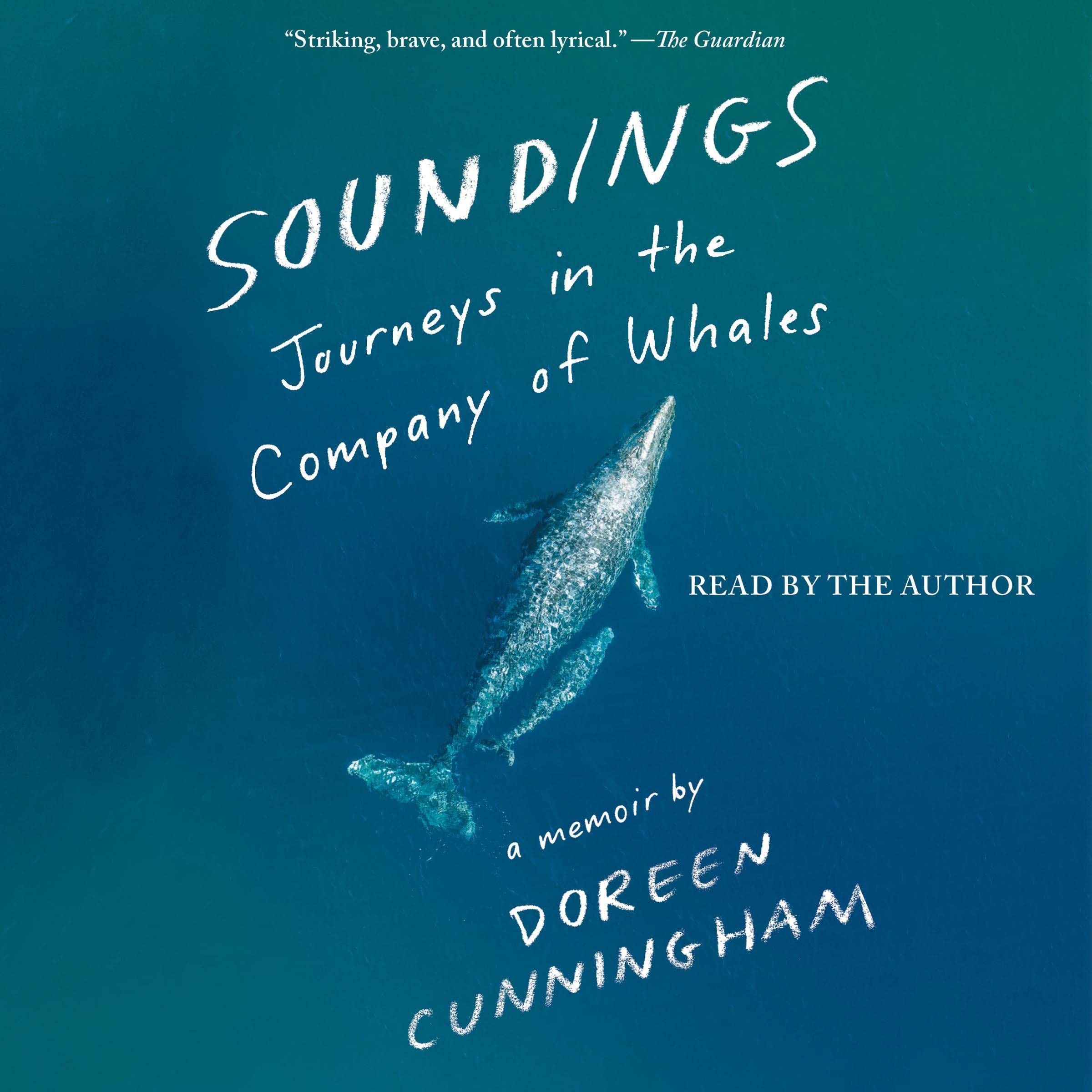 Cover art for Soundings