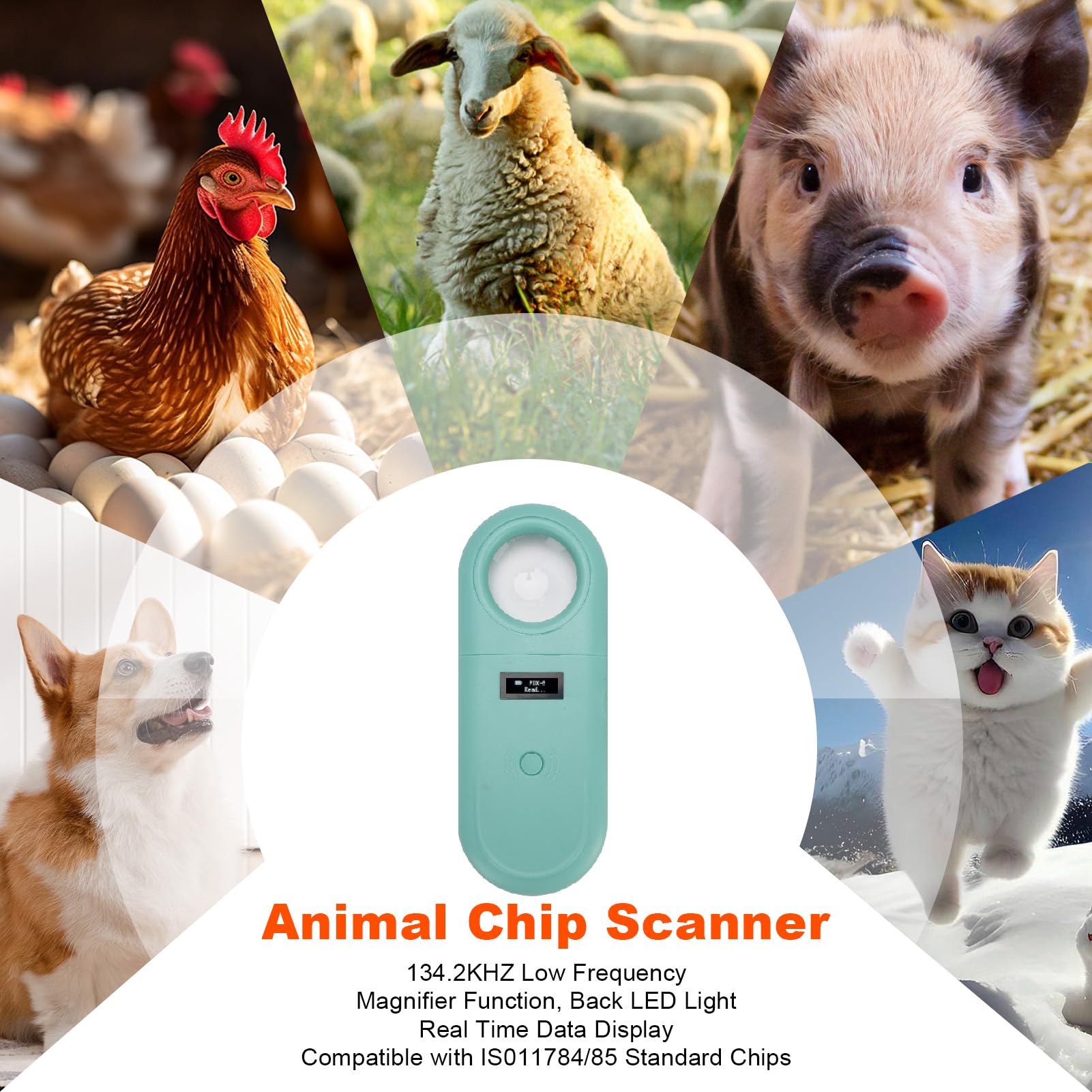 Dpofirs Haustier Mikrochip Scanner, ISO11784 85 Handlesegerät für Tiere, 134,2 kHz Haustier ID Scanner, Wiederaufladbare Tierchip Registrierung für Hunde, Haustiere, Katzen, Schweine