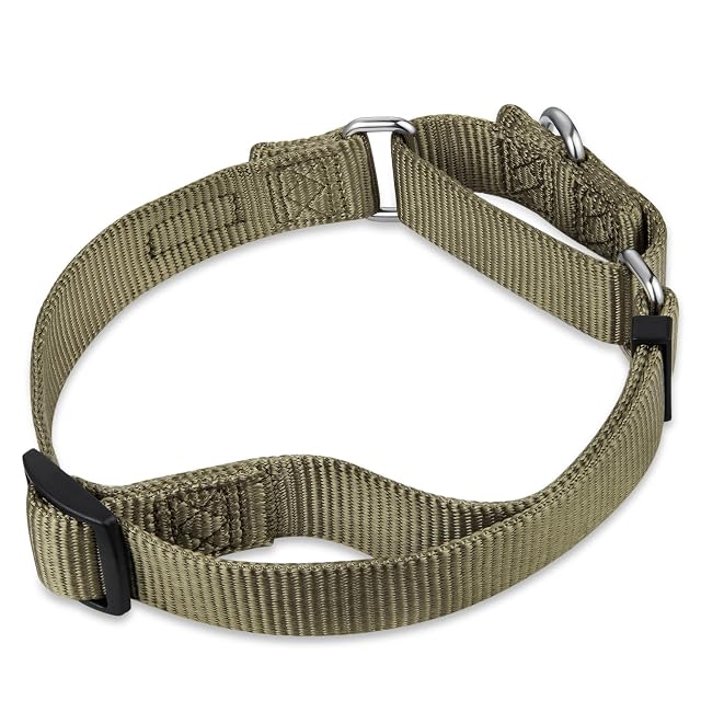 Foto 5 de 6 de Collar de Perro martingala de Nailon Resistente de Color sólido para Perros machos y Hembras