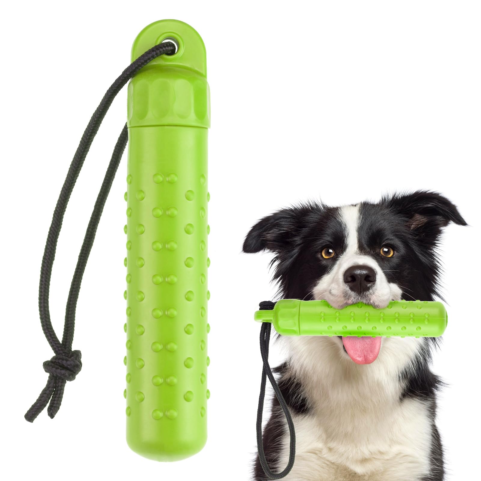 Jouet flottant pour chien 24 cm BINGPET - Puzzle distributeur amovible pour moyen et grand chien