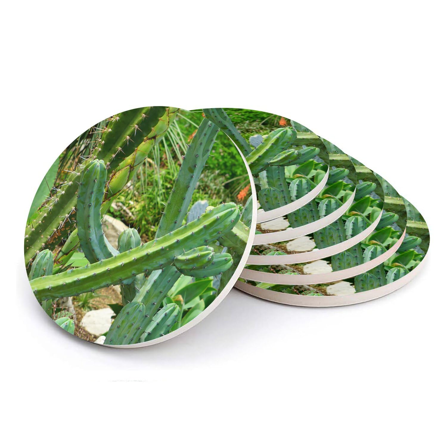 Sous-verre céramique absorbant Cactus pour éliminer les taches de verre