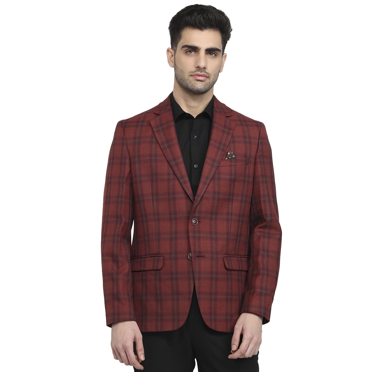 park avenue Men Regular Fit Checks Pattern Poly Wool Blend Notch Lapel Full Sleeve Formal Blazer-picture-40