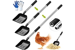Chicken Coop Litter Proper Scooper