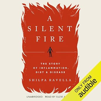 A Silent Fire Audiobook by Shilpa Ravella episode artwork