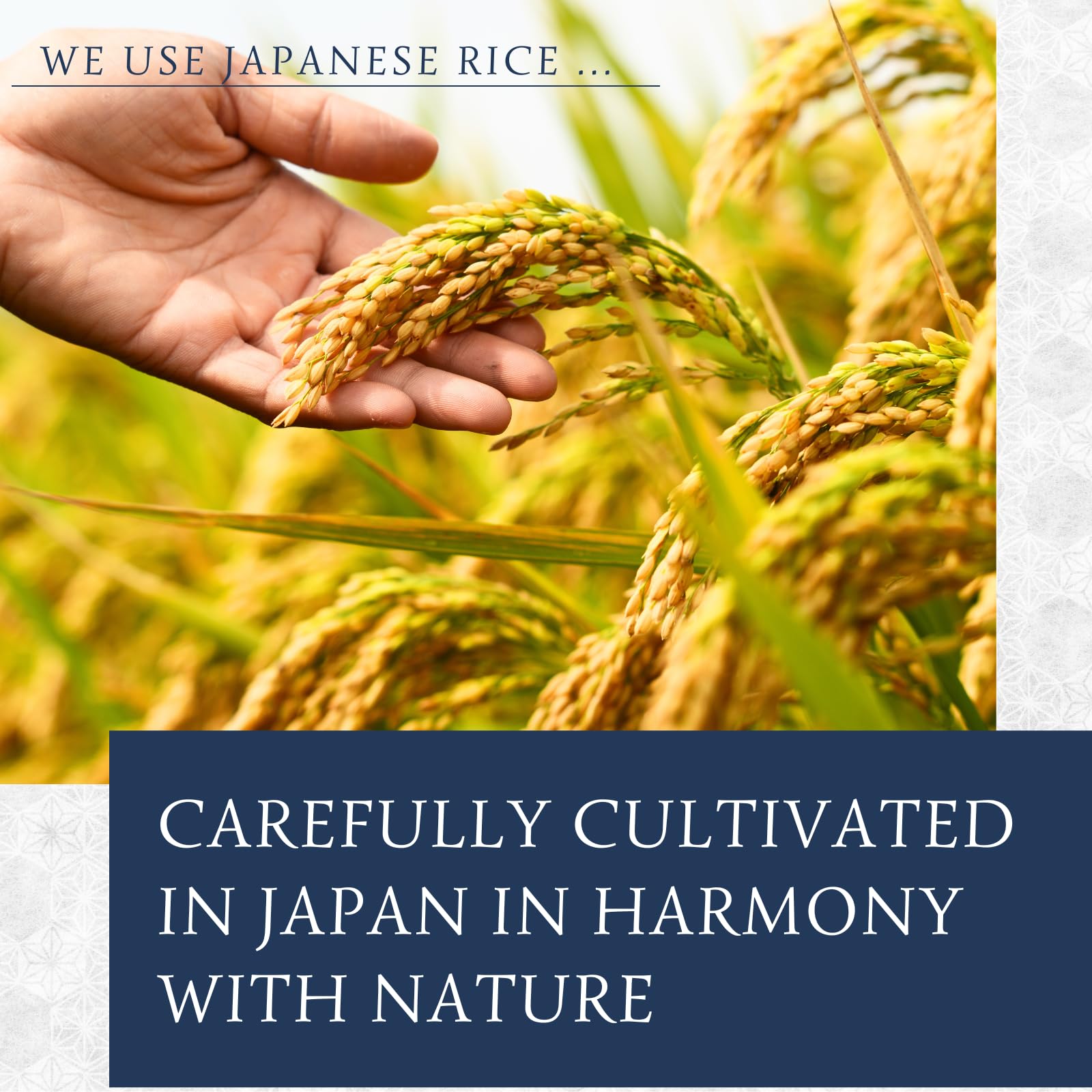 Amazon.com : Dried Rice Koji – Made in Japan | For Shio Koji, Miso