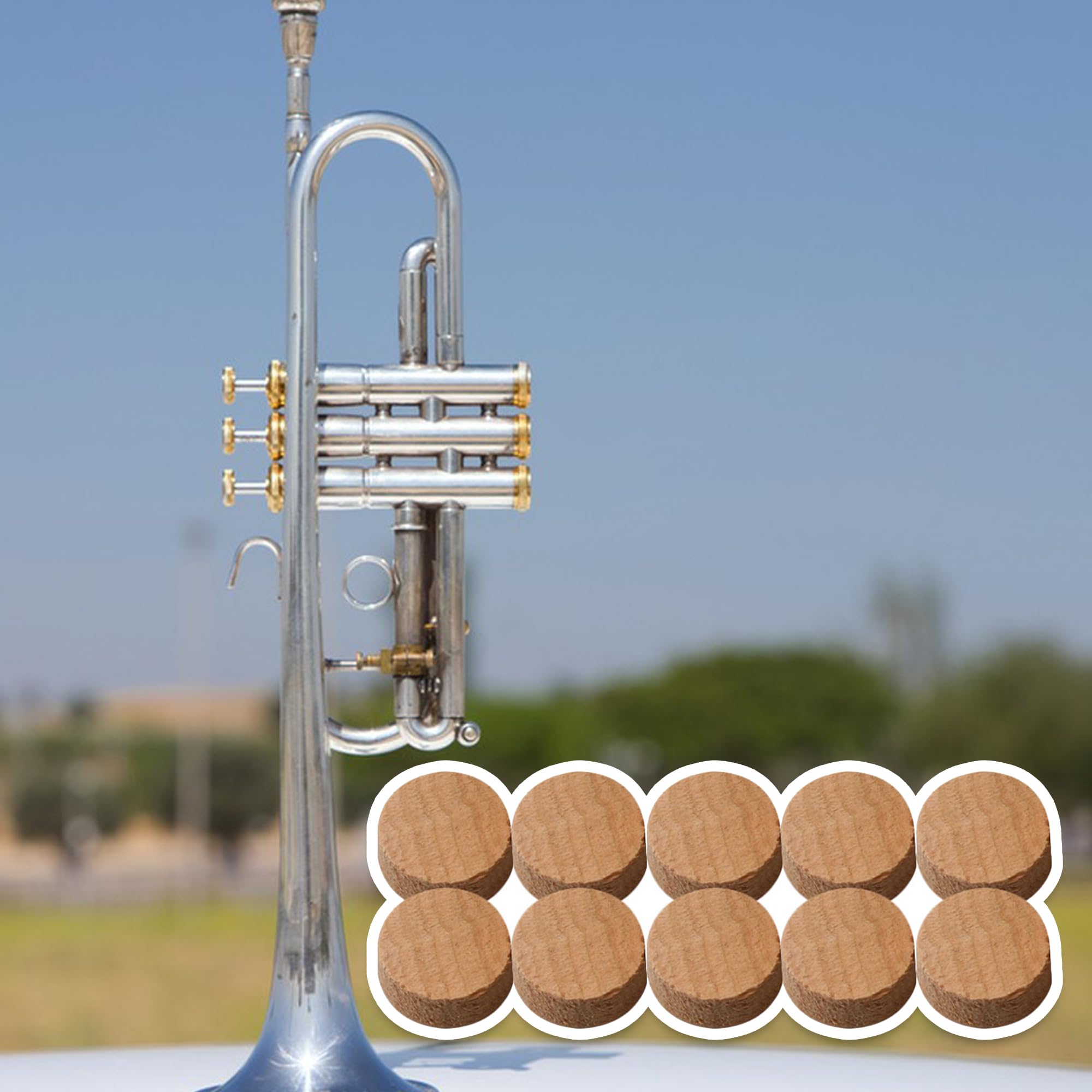 Trompete Kornett Bariton Tuba Wasserschlüssel Waterkey Montage Trompetenventil 397309662142