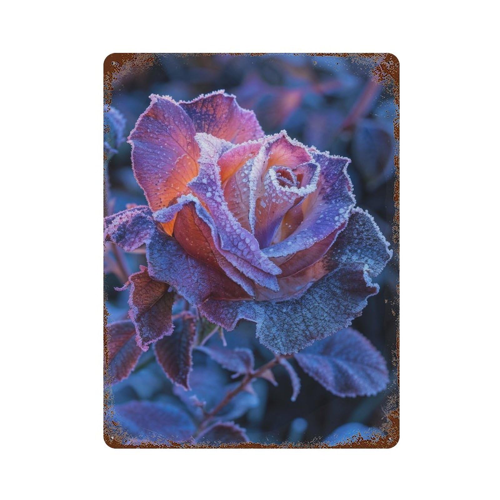 Black Rose Decorative Tin Sign 15.7"x11.8", Ideal for Basement, Hobby Room And Garage Decor