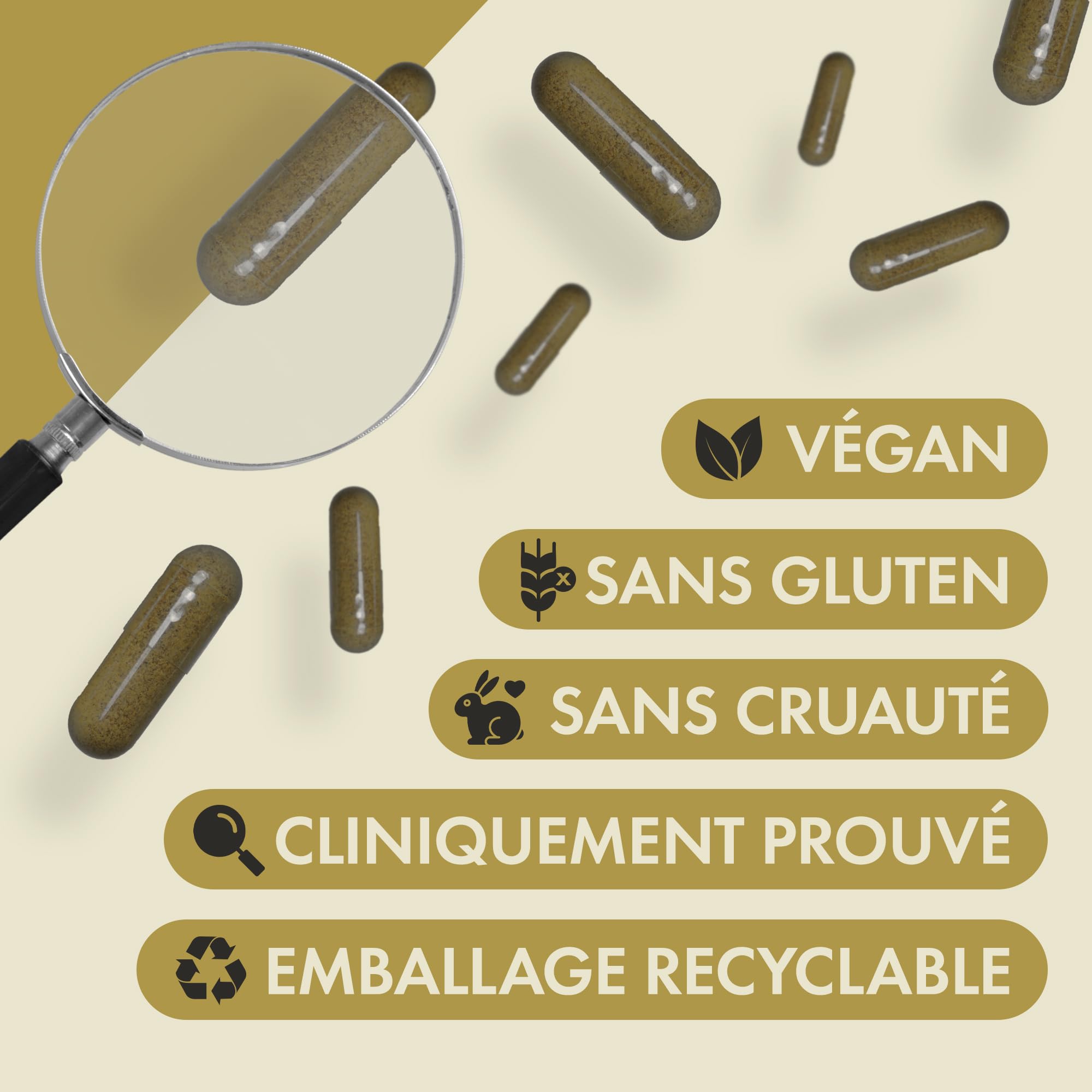 Incite Nutrition Maca Root Complex – 60 gélules véganes | Maca noire avec reishi, tribulus et baies de goji – Soutien énergie et vitalité – Gélules de racine de maca pour hommes et femmes