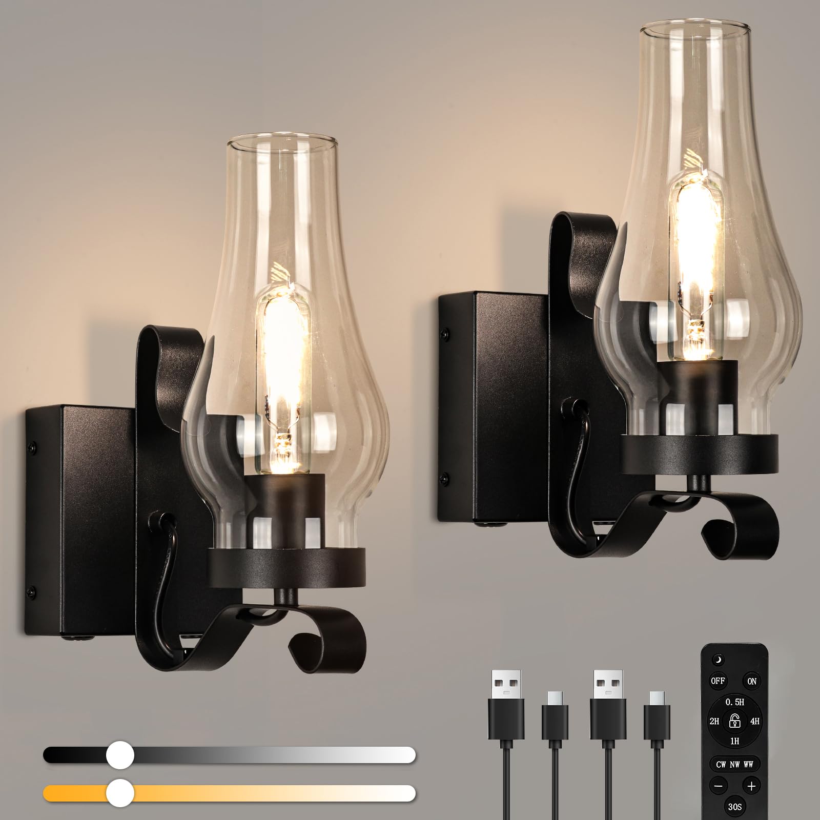 EIDEARAY Rustic Battery Operated Wall Sconces