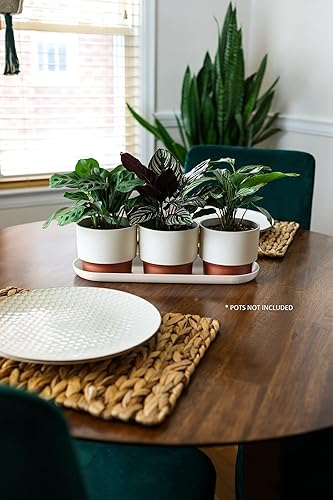 Miniatura 4 de The HC Companies Platillo ovalado de 15 pulgadas para macetas  Bandejas de plástico para interiores y exteriores para macetas  15 x 5.21 x 0.93