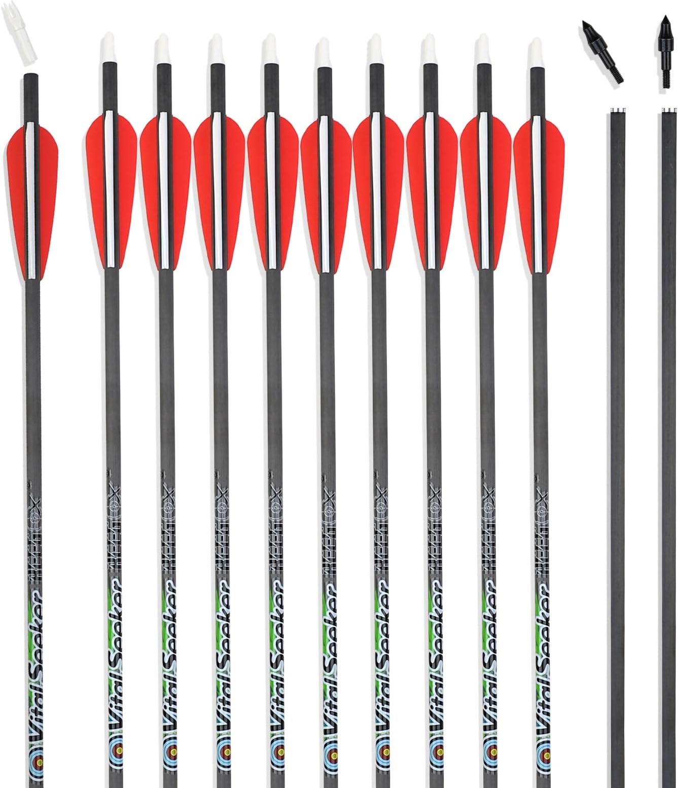 REEGOX Beginner Arrows for Compound or Recurve Bow Targeting or Hunting Fletched with 3" Vanes(pack of 12)