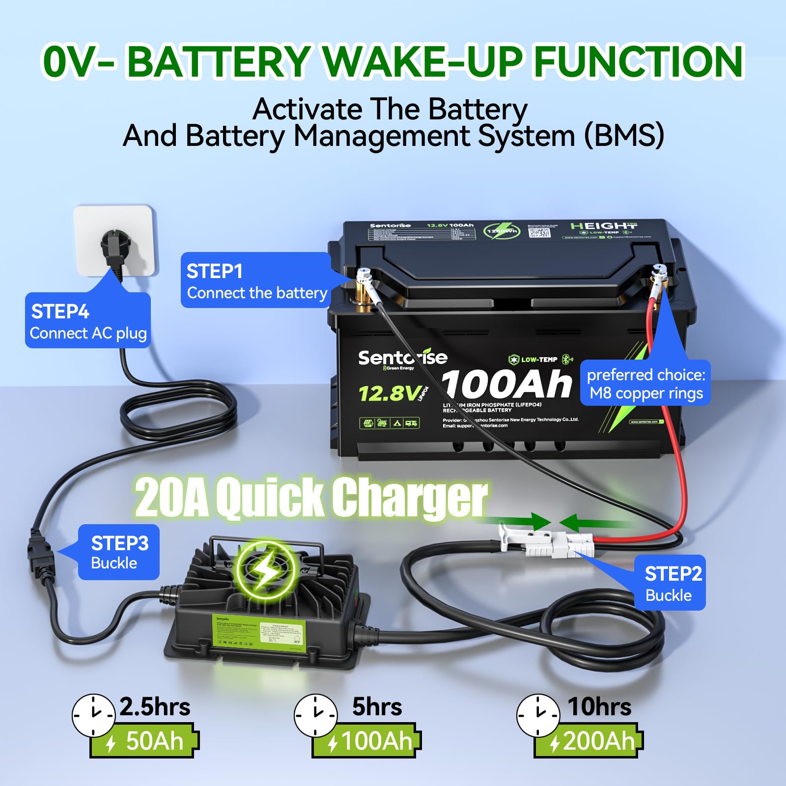 LiFePO4 Batterieladegerät, 14,6 V, 20 A, 0 V Aktivierung, IP65 Wasserdicht & Anderson-Stecker für Lithium-Batterie, Wohnmobil, Boot, isolierte Standorte und Solaranlagen