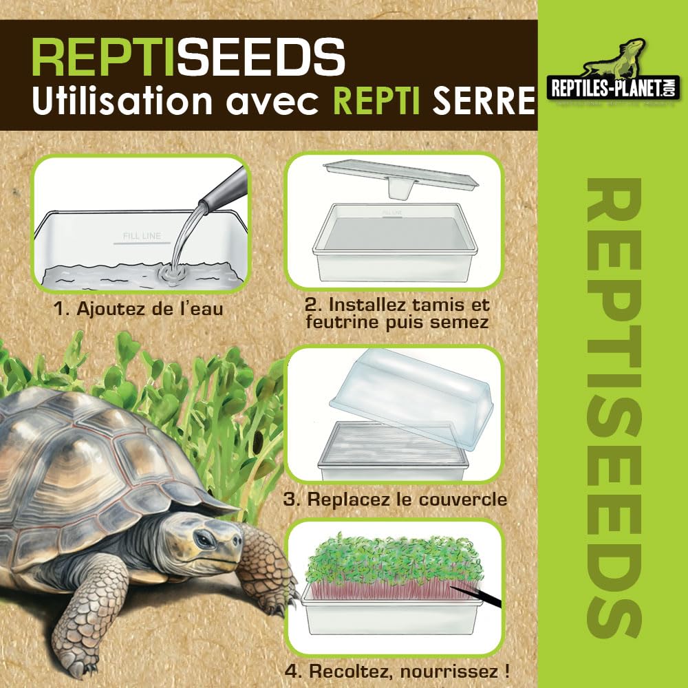 Reptiles Planet - Reptiseeds - Mieszanka nasion kiełkujących żółwia ziemnego - 40 g
