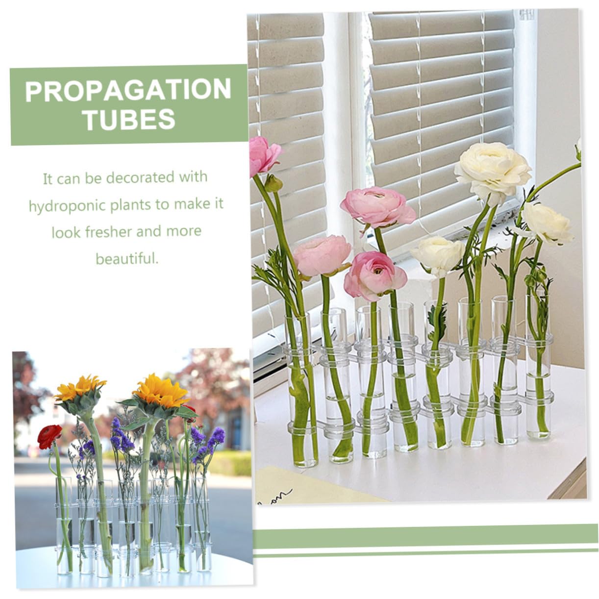 Vase Hydroponique Verre Transparent Tube de Propagation pour Plantes avec Support pour Culture Pot ou Terrarium