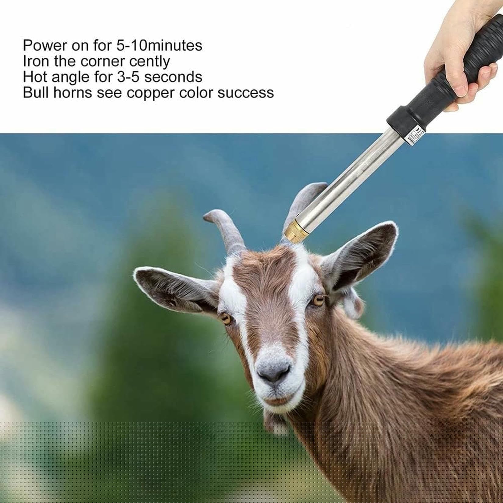 Dehorner Elettrico per Bestiame, Dehorner Elettrico per Capre, Dehorner Elettrico Senza Sangue per Vitello Agnello Pecore, Attrezzature Agricole E Allevamento