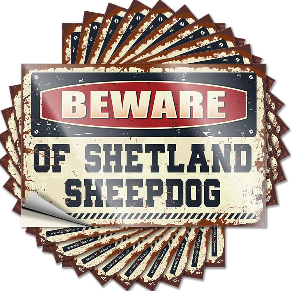 Golden Tattoo, Retro Room Decor Reusable Beware of Shetland Sheepdog | Funny Quote Race Decals(6X9CM)