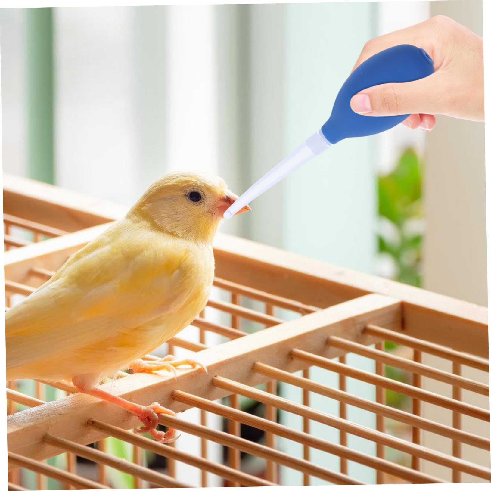 Kisangel Bird Nursing Dropper Portable Reusable Pigeon Weaner for Easy Liquid Feeding Convenient Weaning Device for Budgies Cockatiels Lovebirds and Other Birds