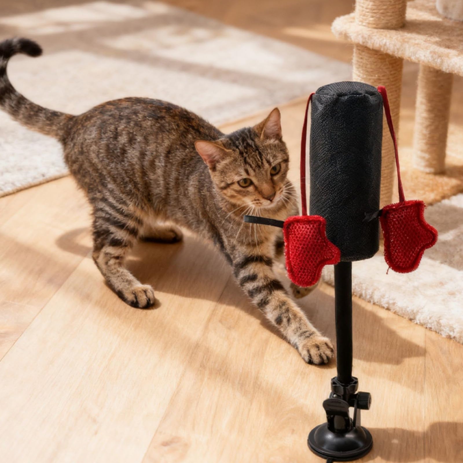 Saco de boxeo para gatos, divertidos sacos de boxeo con guantes de boxeo, juego para todos (A)