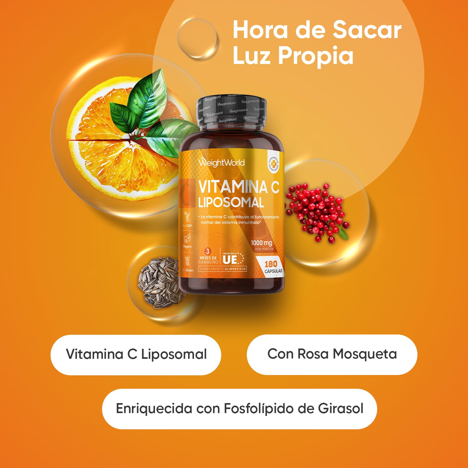 Vitamina C Liposomal 1000mg - 180 Cápsulas con Rosa Mosqueta - La Vitamina C Contribuye al Funcionamiento Normal del Sistema Inmunitario (EFSA) - Suplemento Vitamínico para 3 Meses, Vegano y Sin OGM