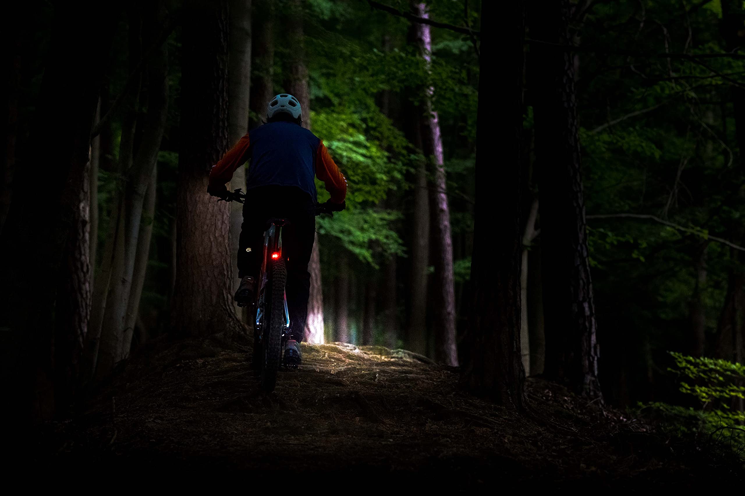 Litemove - Fanale posteriore per bici elettrica TS-SP