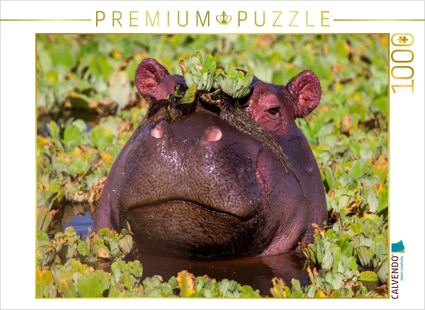 CALVENDO Ingo Gerlach - Puzzle a forma di ippopotamo, 1000 pezzi, dimensioni 64 x 48 cm