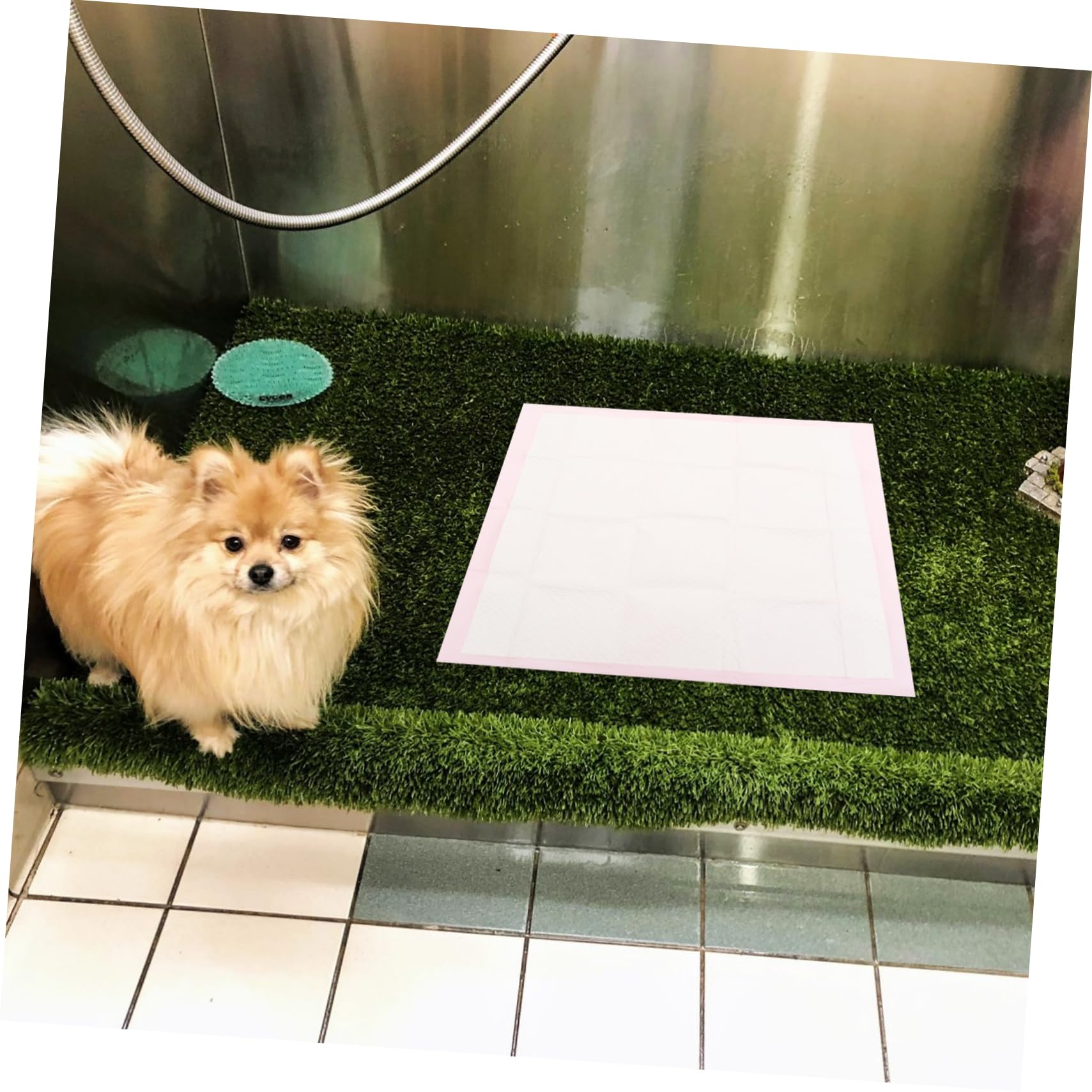 ERINGOGO 40pièces Tapis Absorbants Non-tissé pour Chiens Et Tapis Entraînement pour Animaux De Compagnie Etanche Et Ultra-absorbante De Propreté pour Chiots Et Petits Animaux
