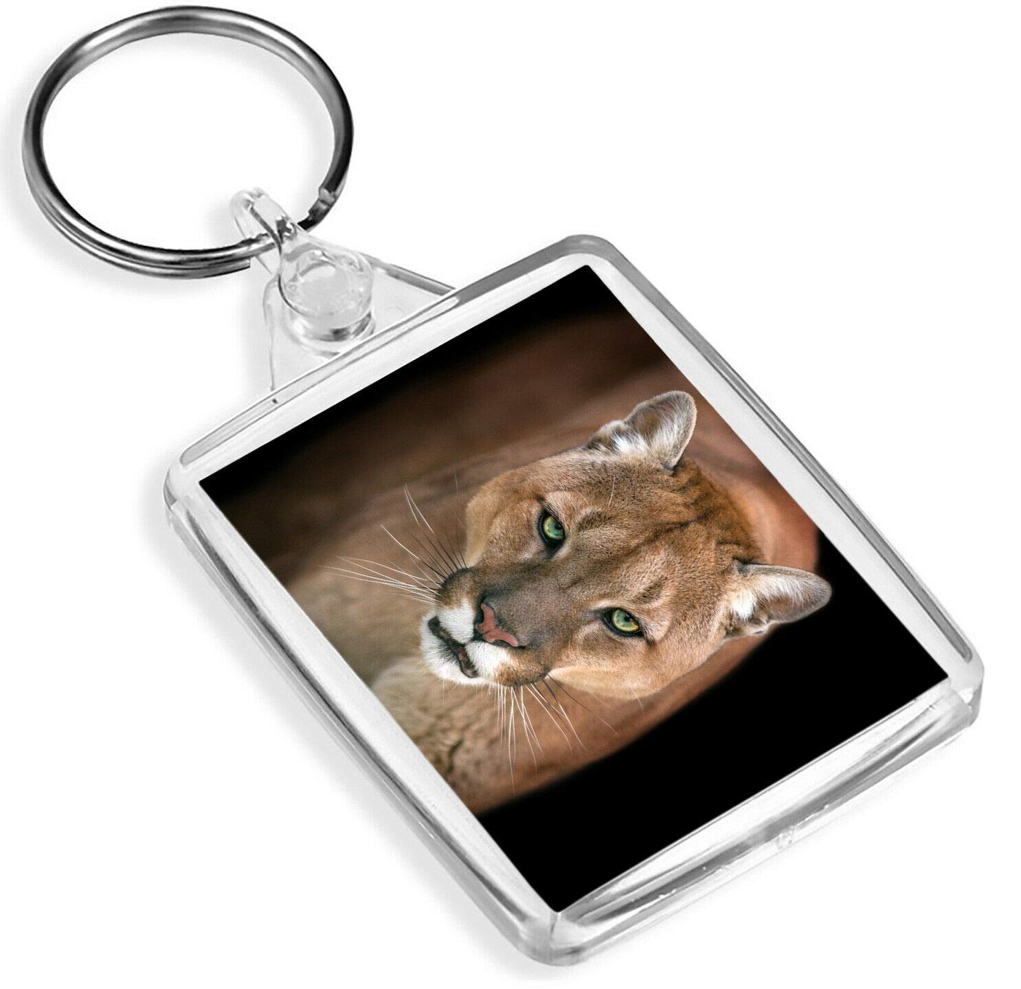 Destination Vinyl Keyrings Unisex Multi Puma Cougar Keyring - Ip02 - Green Eyes Big Cat Lion Wild #12655
