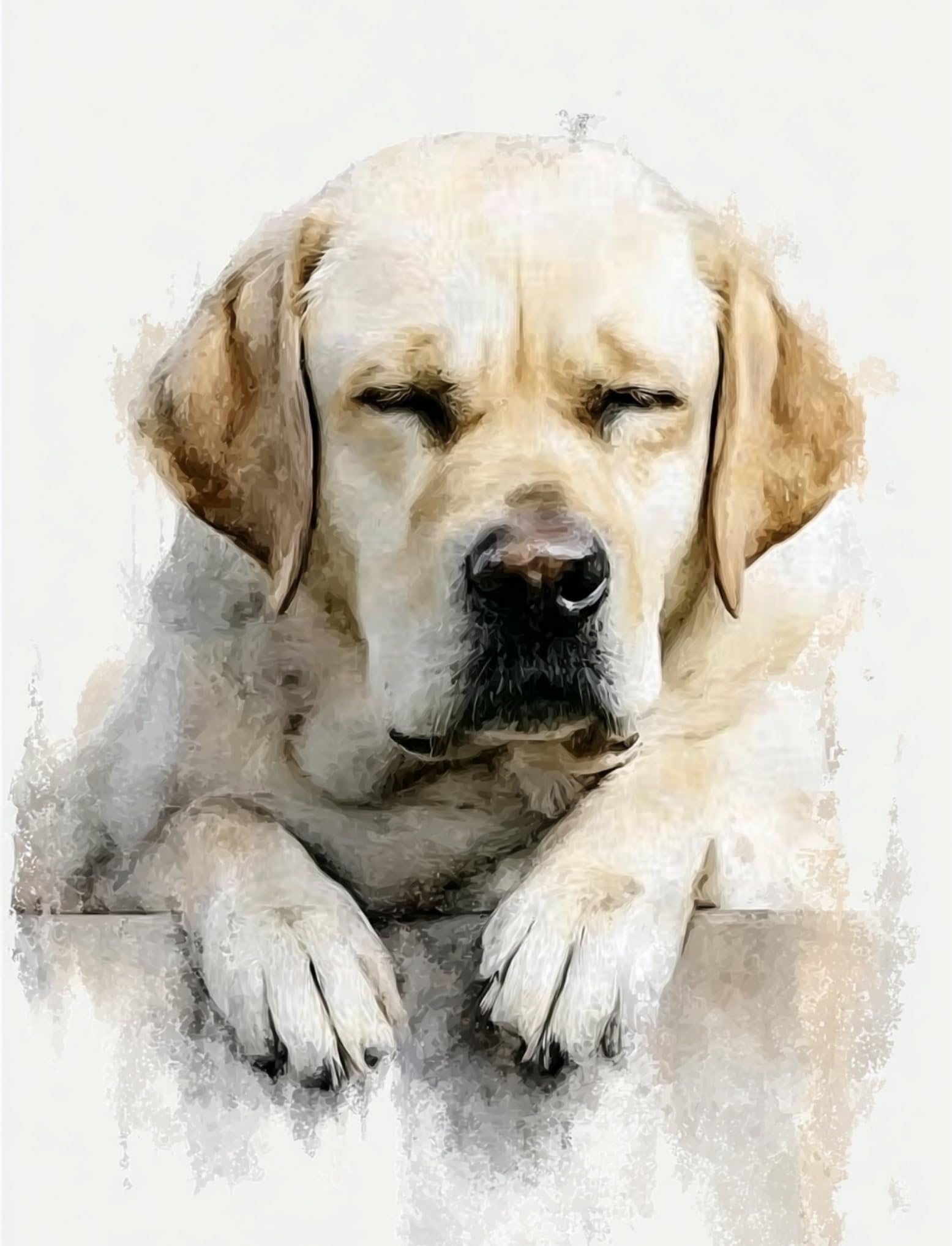WANGWANGMIAO Paint by Numbers for Adults Golden Retriever Resting, Painting by Numbers for Adult Canvas Crafts Kits, DIY kit for Relax and De-Stress Home Gift 16x20inch，with Frame