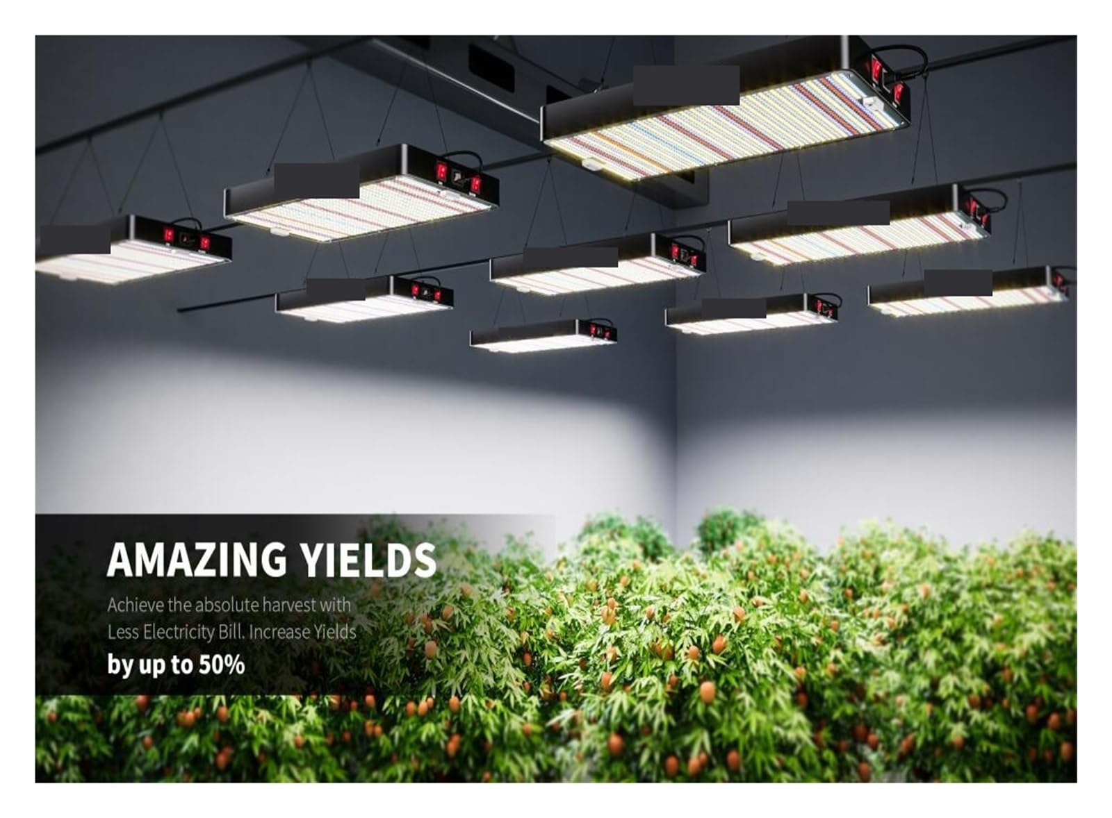 Lámpara de Cultivo, Luz Led de Cultivo de Espectro Completo, 3 uds., 3000W, 301H, fitoamplificador Led for Plantas, Tienda, de Cultivo hidropónico, Invernadero