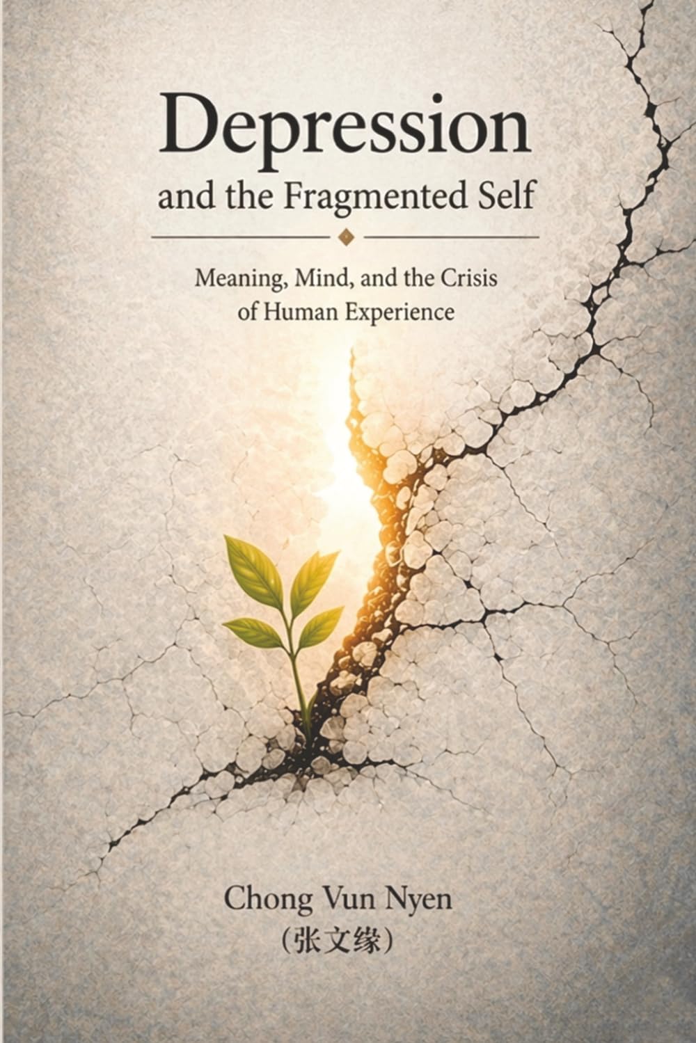 Depression and the Fragmented Self: Meaning, Mind, and the Crisis of Experience