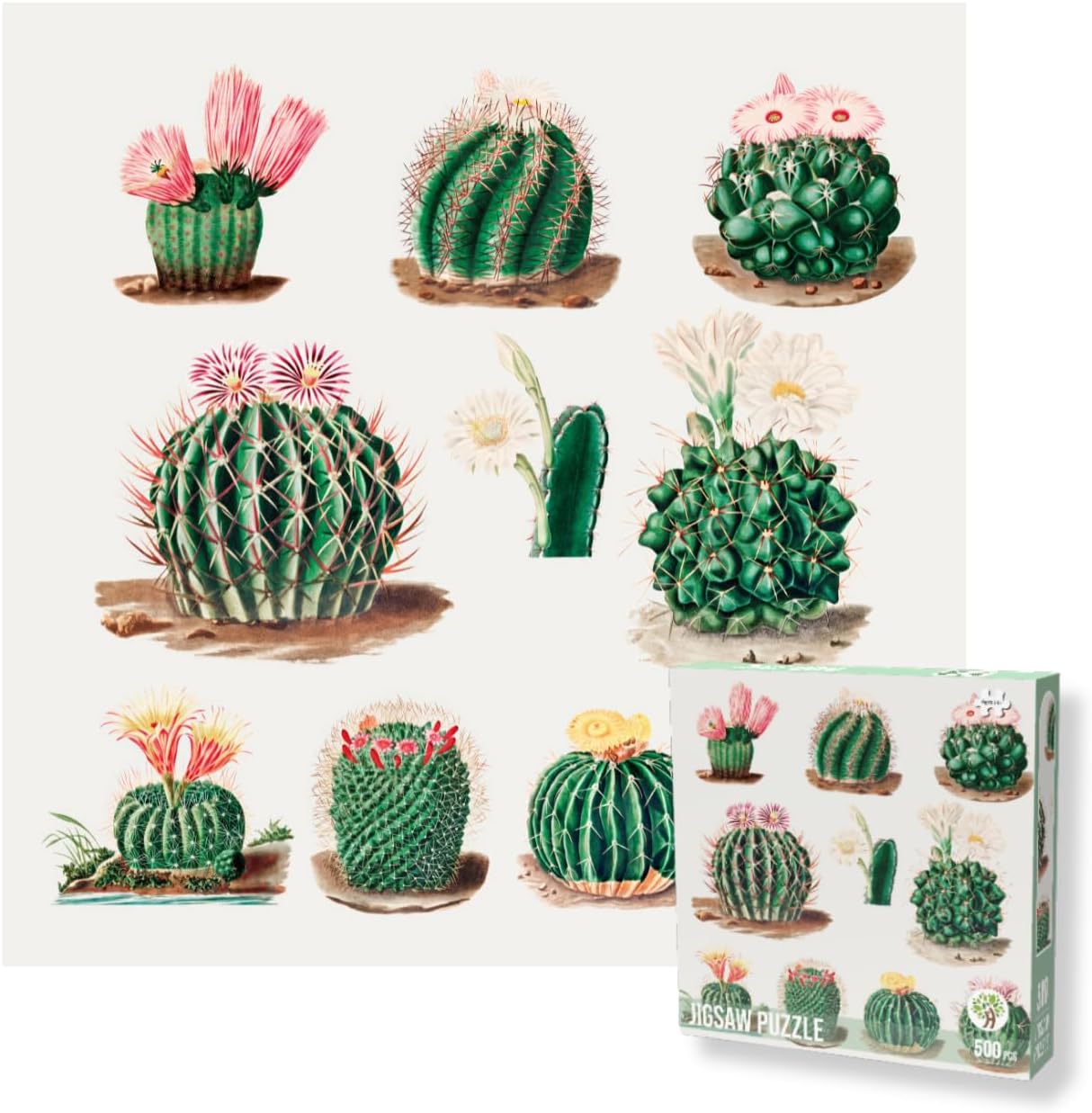 Jigsaw Puzzles 500 Pieces Puzzles for Adults Art Puzzles Museum Collection Famous Paintings Jigsaw Puzzles, Art Famous Oil Painting Jigsaw Puzzle 500 Pieces (Cactus)