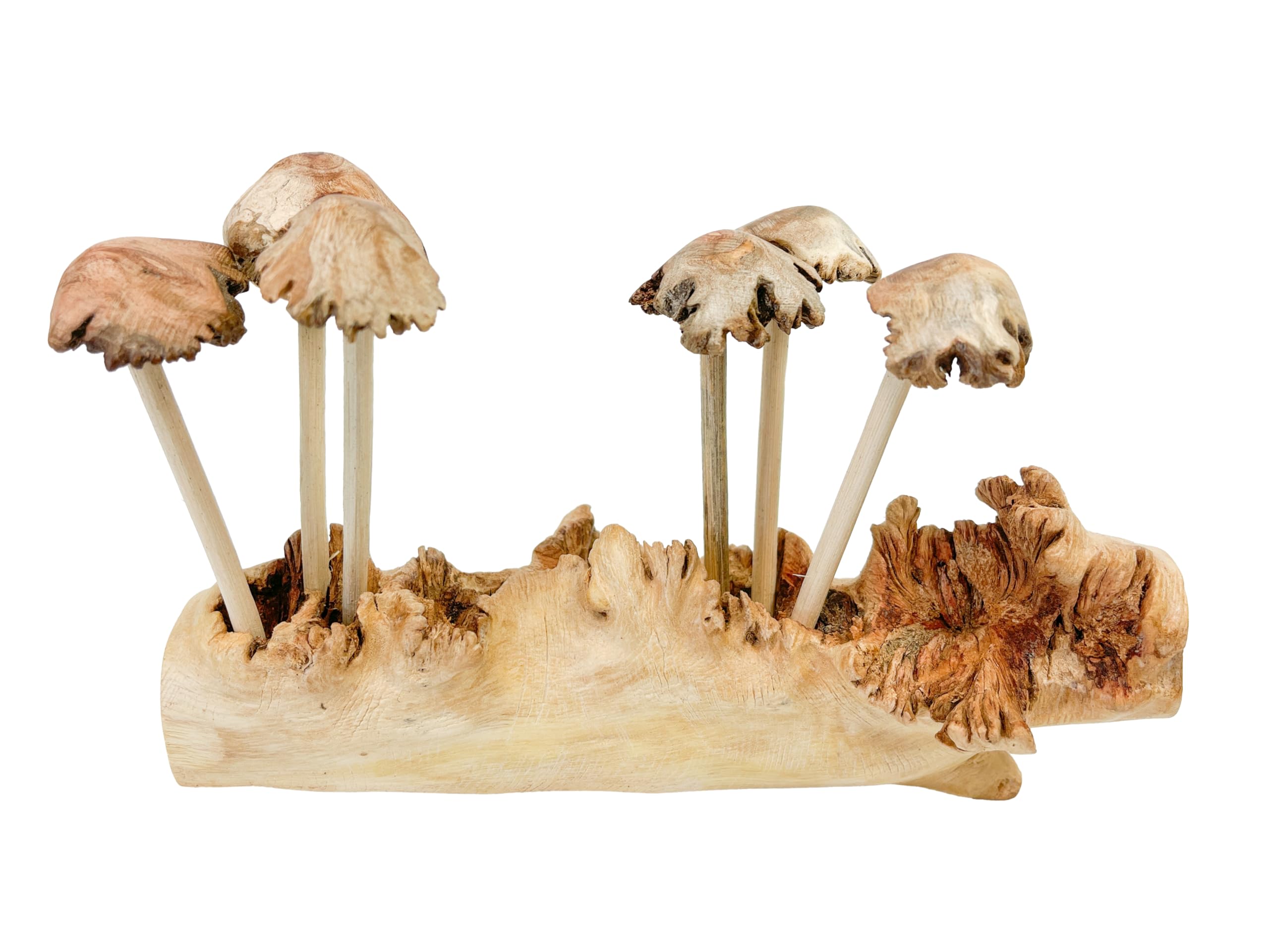 My Family House Wooden Mushrooms Toadstools Group of 6 on Parasite Wood Carving Fair Trade Wooden Carved Ornament Indoor Mushroom Home Decor Autumn