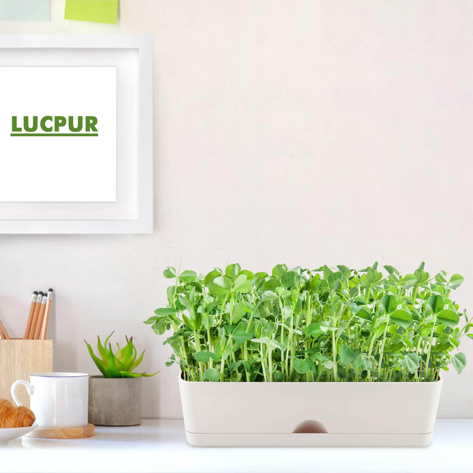 Blumenkästen Pflanzgefäße 40,6 cm Rechteckiger Pflanzkasten Rechteckige Pflanzgefäße für Außen- und Innenpflanzen Kunststoff Fensterbank Pflanzgefäß für Kräuter Gemüse Blumen Lange Fensterbank