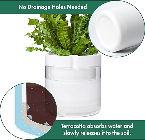 Miniatura 5 de Phoenix Vine Maceta de riego automático de 8 pulgadas, maceta de arcilla de terracota blanca con depósito de vidrio para plantas de interior,