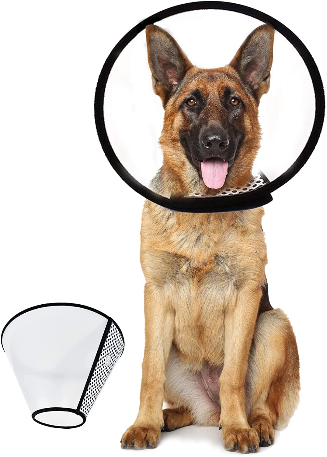 What Age Can You Use An E Collar On A Puppy