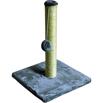 milo and misty cat scratcher