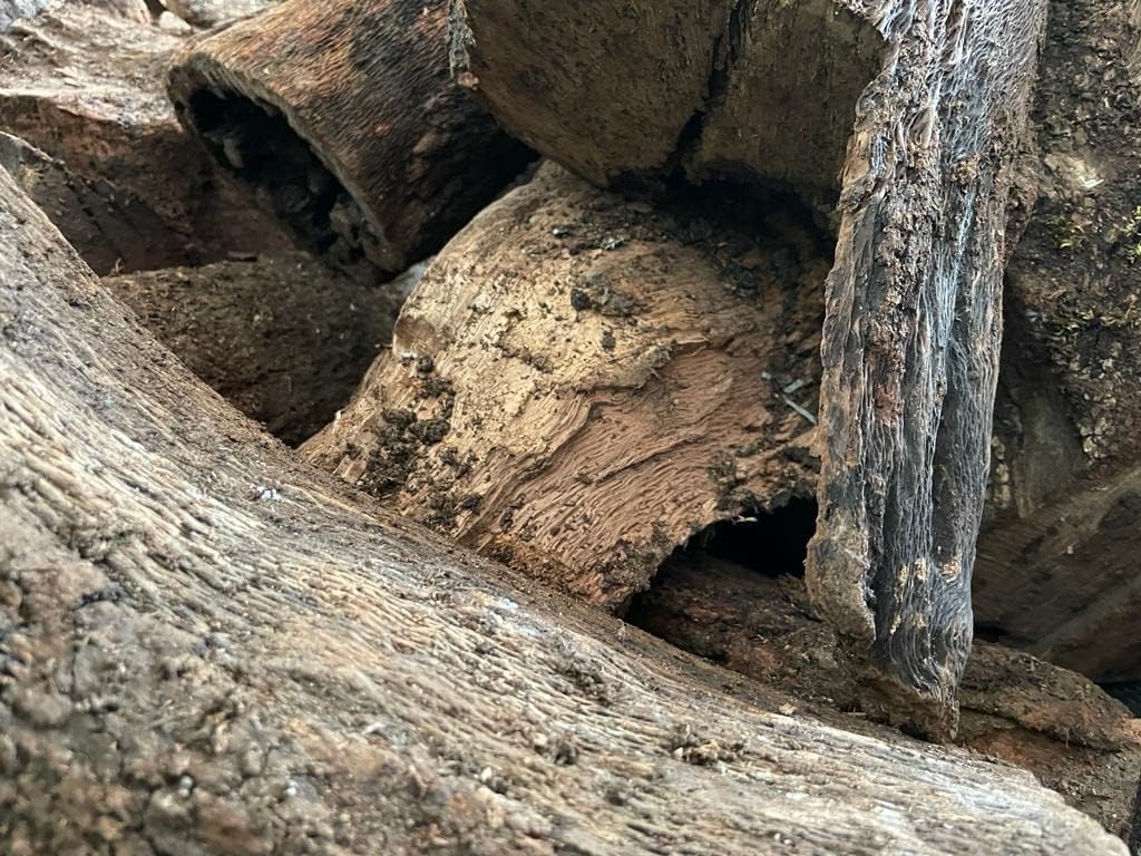Mugar- Leña para Chimenea, Estufa o Barbacoa. Leña de Encina Tronco de leña Mediano Especial para Chimeneas, barbacoas o Estufas (Caja 30 kgs)