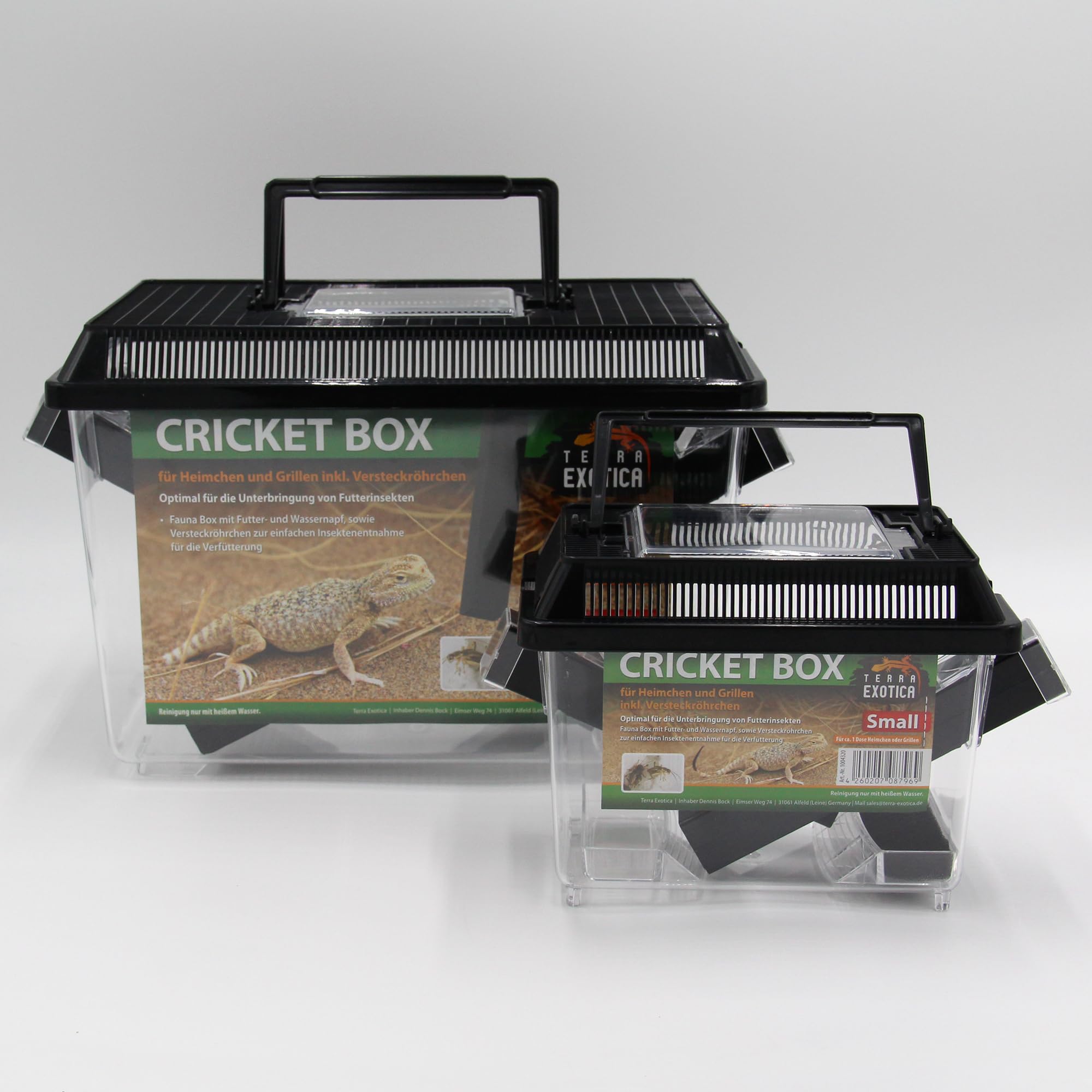 Terra Exotica Cricket Box - in Small oder Large - Transportbox für Reptilien - Fauna Box für Heimchen und Grillen zur Zucht (Large 30 x 19,5 x 20,5 cm)