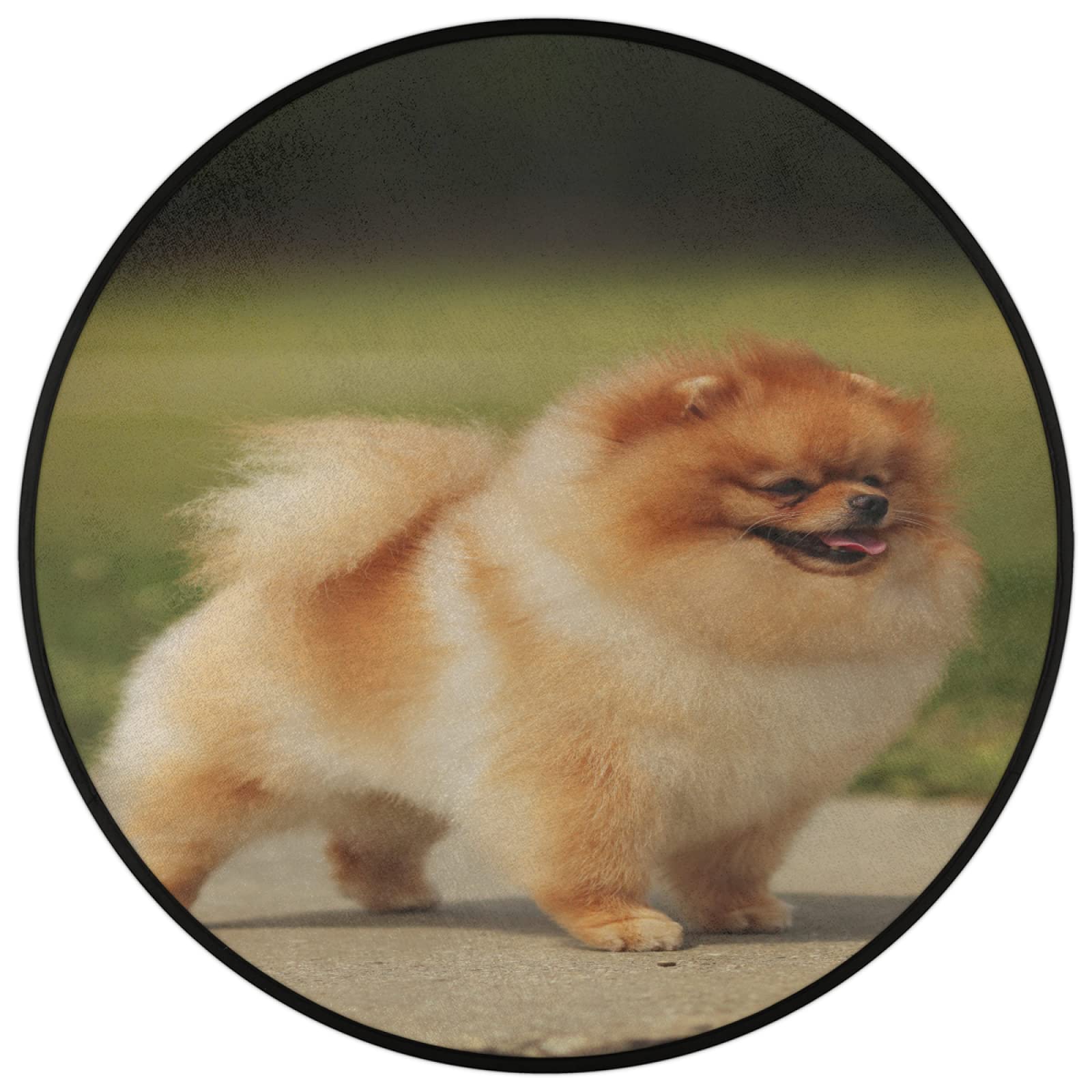Tapis rond mignon de Poméranie de 91,4 cm, lavable en machine, antidérapant, doux, pour salon, chambre d'enfant, décoration de chambre d'enfant